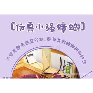 奇怪屋 抖音網紅創意模擬ins蟑螂小強毛絨玩具搞怪大號公仔玩偶娃娃 整人,搞笑,奇怪,抱枕,