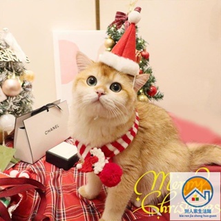 🐈寵物之家 寵物過年聖誕節裝飾衣服圍兜狗狗圍巾貓咪新年帽子泰迪圍脖小型犬 VT3J