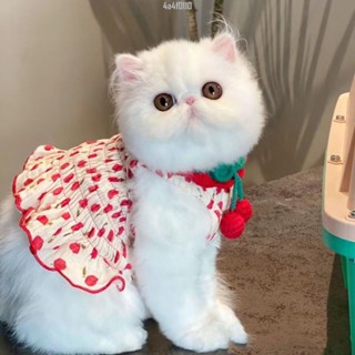 狗狗寵物衣服夏季吊帶裙子比熊泰迪狗小狗貓咪公主背心裙可愛薄款 寵物服飾 寵物衣服