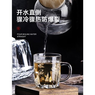 耐熱玻璃杯套裝 10入 家用 客廳 餐廳 待客 水杯 帶把手 啤酒杯