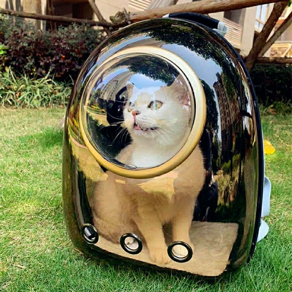 貓包外出雙肩包太空艙寵物包裝貓背包貓咪外出包便攜太空包透明包