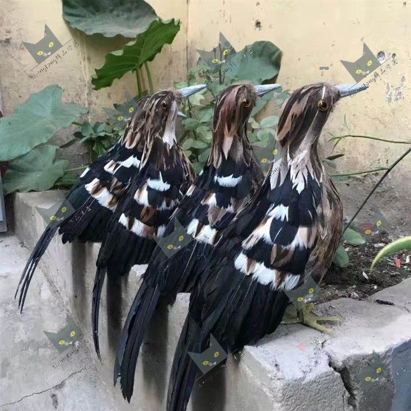 Shenglong模型/仿真夜游模型羽毛黑冠夜鷺鷓鴣董雞擺件假鳥動物假雞媒體教學道具