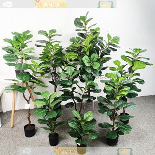 免運 模擬樹 植物綠植 盆栽 落地擺件 手感模擬琴葉榕 北歐落地人造綠植盆栽樹 櫥窗景觀裝飾擺件