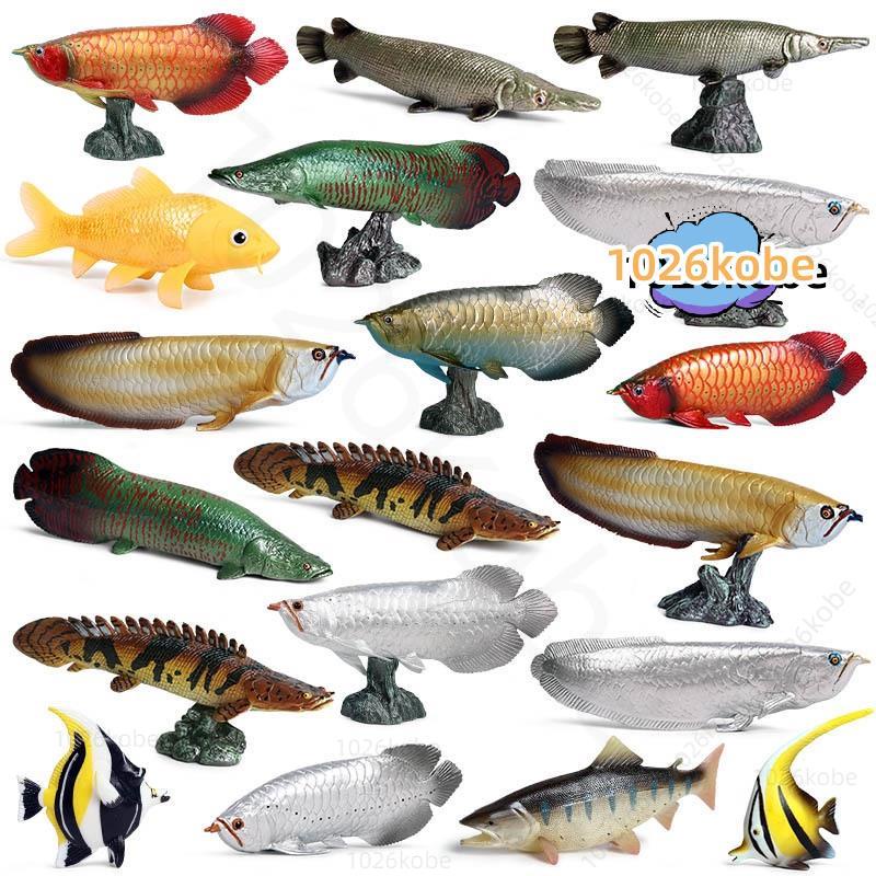 【推薦】 兒童仿真動物模型實心海洋淡水魚鱷雀鱔金龍魚斑節恐龍魚玩具擺件 1026kobe