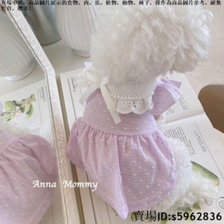 【熱賣免運】狗狗衣服 春夏款寵物裙子洋裝 公主風服裝 泰迪比熊小型犬可愛貓咪 寵物衣服 貓咪衣服 小型犬狗衣服 寵物