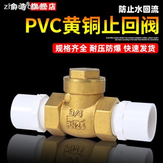 24小時出貨=PVC止回閥4/6分單向閥黃銅臥立式逆止20/25自來水管開關閥止水閥