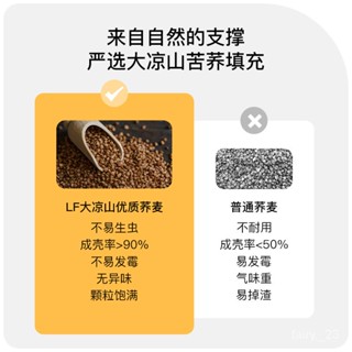 【貝奇家居】批髮拉芙菲爾頸椎專用枕頭分區護頸枕圓柱全蕎麥枕頭助睡眠護頸椎