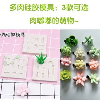 ♠♠超輕粘土多肉模具軟陶泥多肉植物DIY葉片模型翻糖矽膠迷你盆栽