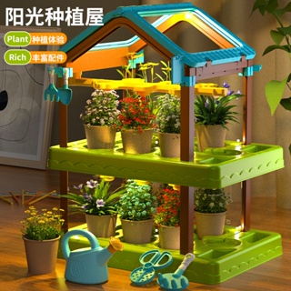 陽光房兒童種植玩具DIY植物花觀察小學生科學實驗套餐男女孩禮物