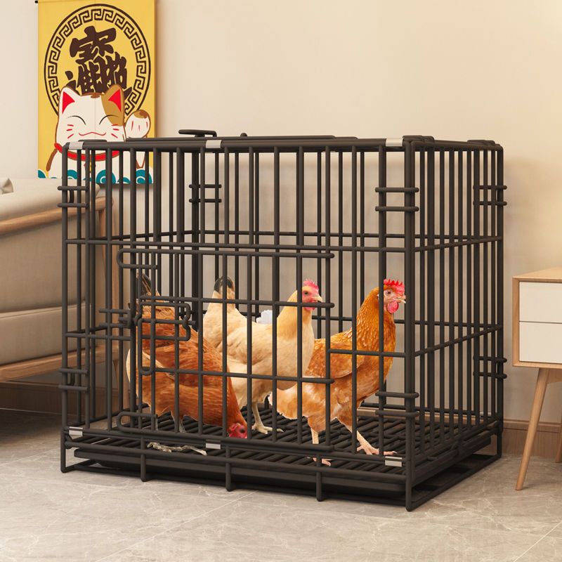 熱銷雞籠子家用室外養雞籠自動清糞鴨籠子鴿子雞舍籠子特大號室內雞窩