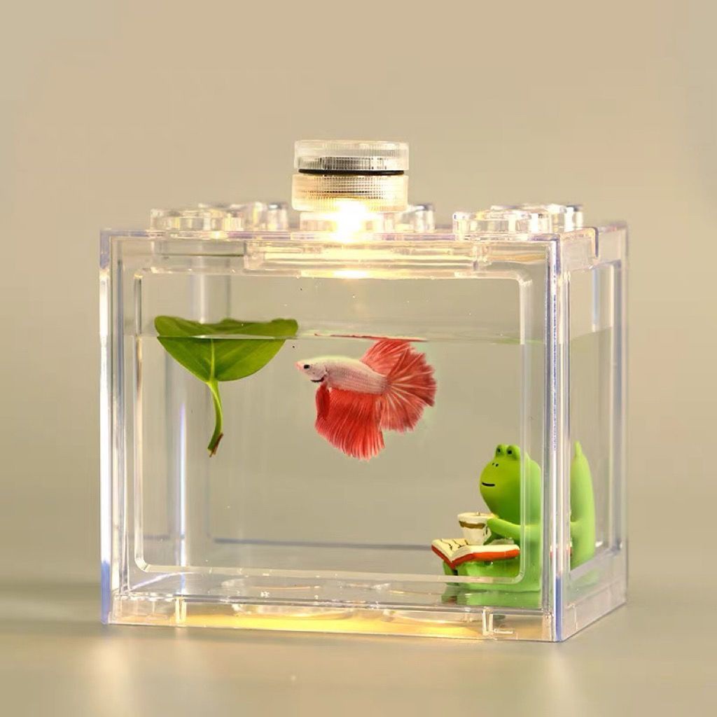 灣灣 泰國斗魚積木魚缸小型生態裝飾盒水族微景觀創意買二送一高透高清