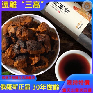 臺灣【樹上的靈芝】俄羅斯正品 樺樹茸野生正品樺褐孔菌白樺茸樺樹淚天然素非俄羅斯進口胰島 橘之