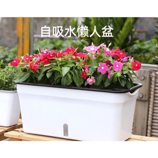 星喵-自動吸水花盆種菜盆長方形種菜神器懶人花盆陽臺塑料盆蔬菜種植箱