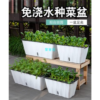 ✱吸水盆✱熱賣聚寳屋 自動吸水花盆種菜神器家庭陽臺長方形懶人花槽塑膠種植箱蔬菜盆栽