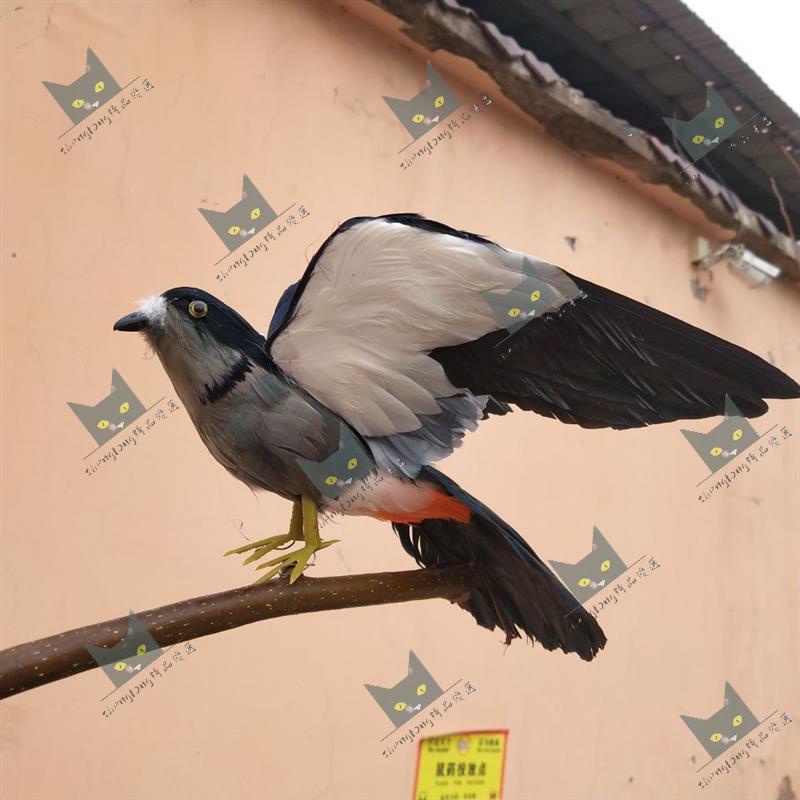 Shenglong模型/仿真羽毛燕子云雀小鳥假鳥黑燕家居擺件園林裝飾鳥籠攝影道具鳥