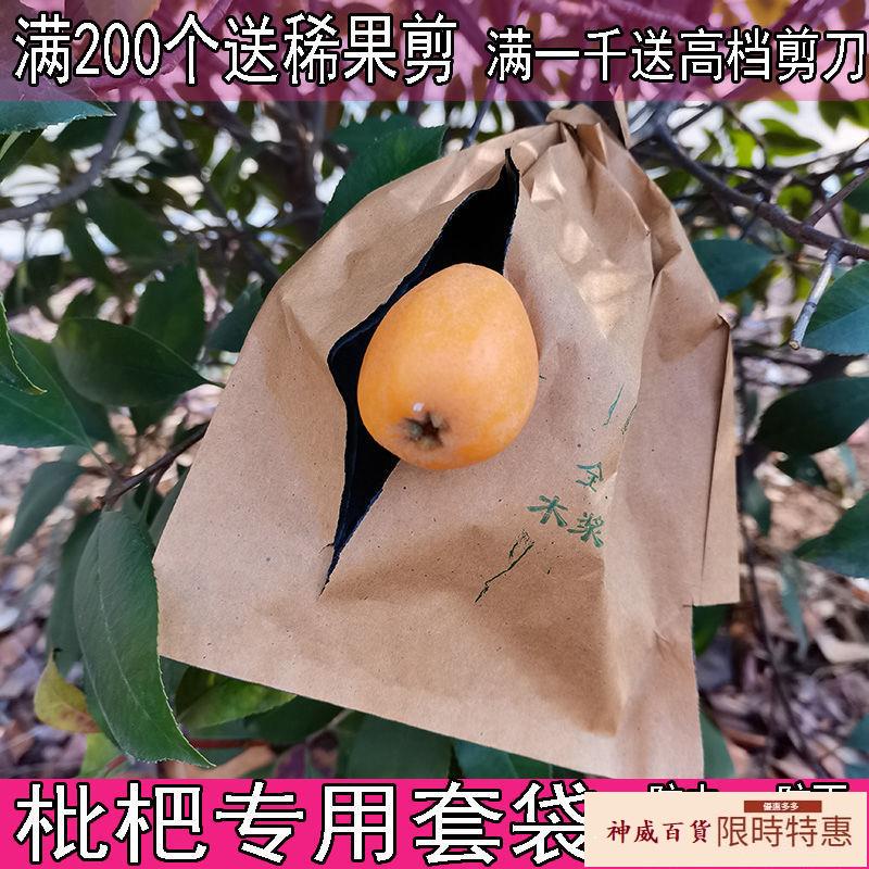枇杷專用套袋枇杷袋子芒果套袋芒果袋子果袋水果套袋果袋子防蟲鳥【神威百貨】