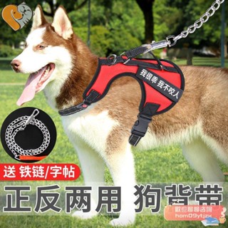 萌寵配件🐈狗狗胸背帶背心式牽引繩遛金毛泰迪小中型大型犬鏈子項圈寵物用品