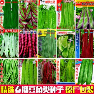 蔬菜20種豆豆種子可選 新荷蘭豆種子 傢庭陽臺種植【惠農園藝】