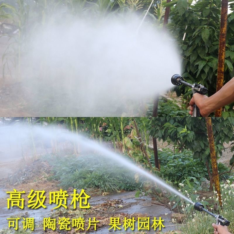 高壓泵噴槍澳林霧化水槍農用機動噴霧器高壓打藥手槍果樹噴霧槍