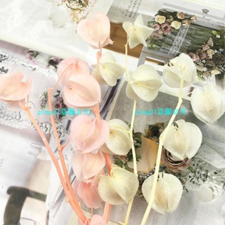 熱銷#永生花配件永生花diy花材料包燈籠果ins保鮮玫瑰風鈴果母親節玻璃罩520花盒