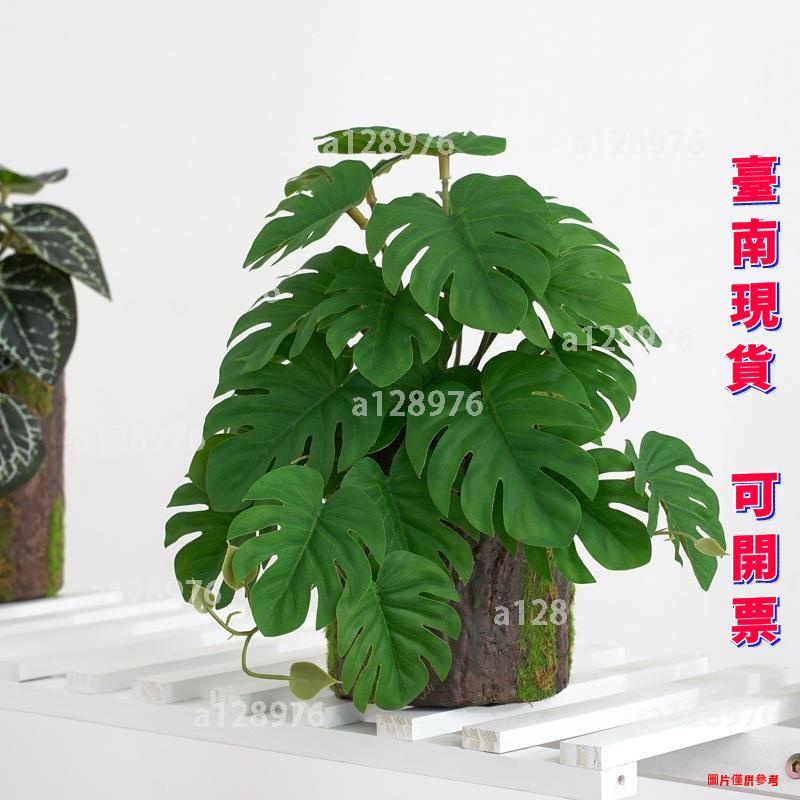 台南免運 客製化 仿真綠植3D列印龜背地瓜葉植物 拍攝道具家居裝飾牆配材