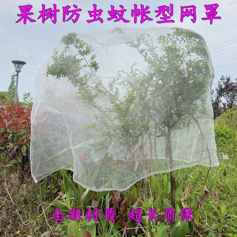 加厚果樹果園防蟲網罩羅曼蚊帳楊梅藍莓蓮霧桃樹櫻桃防鳥防塵網罩