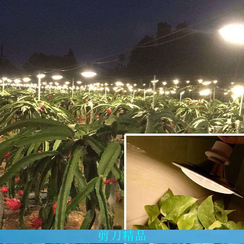【剪刀優選】溫室植物生長燈全光譜蔬菜反季瓜果補光植物燈大棚火龍果補光燈