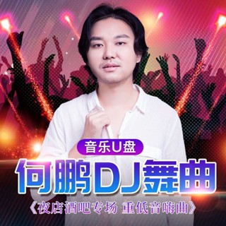 熱賣促銷何鵬dj汽車 載隨身碟流行歌曲勁爆重低音舞曲無損高音質車用音樂隨身碟17