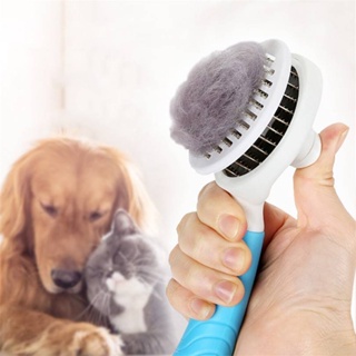 Pet Comb Self Cleaning Brush Professional Grooming Brush Qui