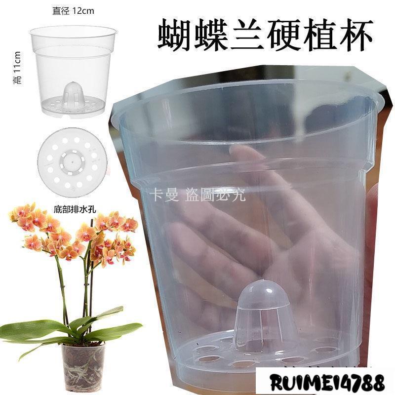 卡曼_蝴蝶蘭透明硬杯營養杯缽石斛蘭花專用種植花盆瀝水透氣控根塑料^