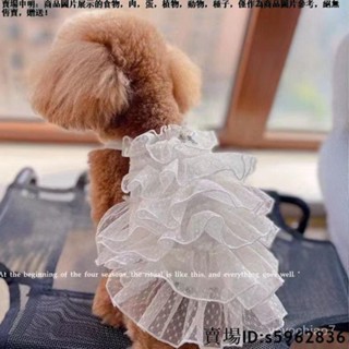 【熱賣免運】2023年春夏裝 滿天星婚紗裙 甜美狗狗寵物衣服貓裙子泰迪公主裙 寵物衣服 寵物用品