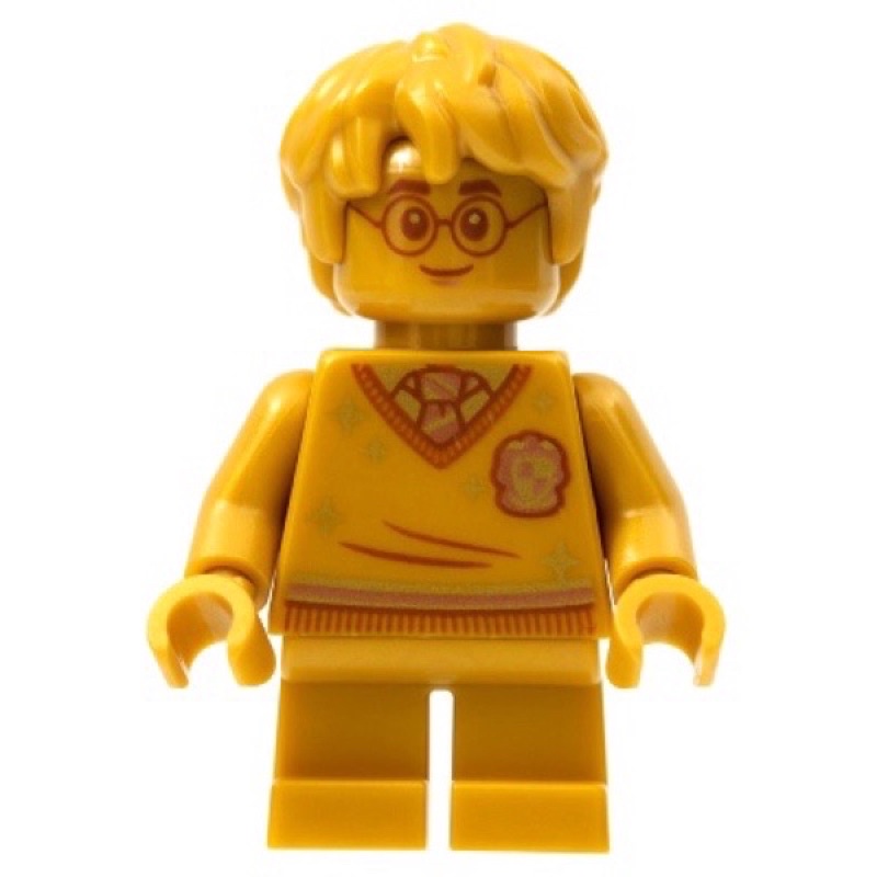 [佳樂］LEGO 樂高 人偶拆賣 hp284 哈利波特 20週年 拆自 76386