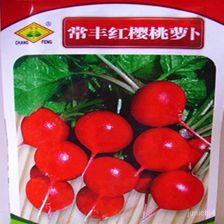 蔬菜類種子常豐水果紅櫻桃蘿蔔種子陽臺菜園白蘿蔔四季紅蘿蔔【惠農園藝】