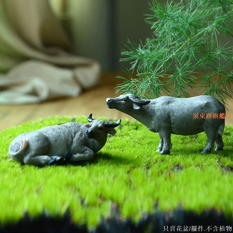 熱賣🌈水牛擺件中國風創意微景觀小馬裝飾品盆景假山擺飾造景桌面小動物