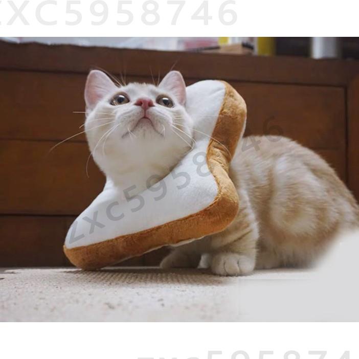 【】韓國搞怪造型貓咪頭套 ins貓玩具 可愛貓咪頭套 可愛吐司麵包片卡通頭套 英短橘貓玩具 貓咪擺拍拍攝可愛飾品2437