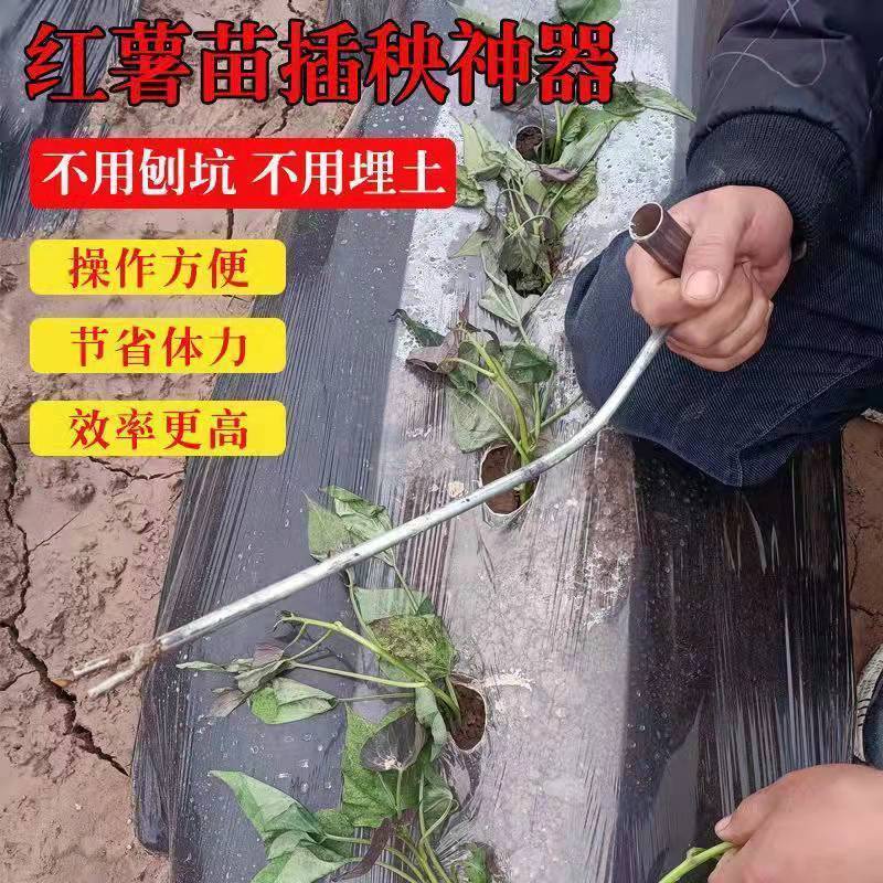 熱賣 栽苗神器蜜薯苗地瓜苗鑷子剪刀地瓜小型插秧器載菜苗器鉗子紅薯藤ksm店