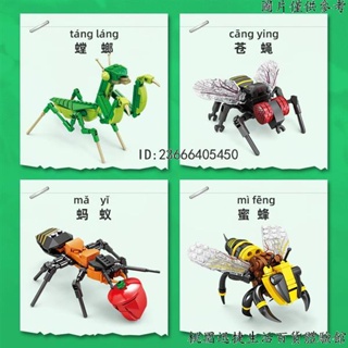 兼容樂高昆蟲積木系列蜻蜓螳螂模型益智拼裝玩具兒童生日禮物6+