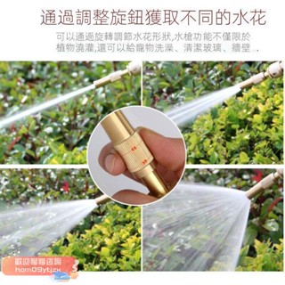 【高品質，蝦皮代開發票】（水龍頭水管連接器）全銅洗車水槍，澆花噴槍，4分6分奶嘴水槍，水管噴槍，噴嘴，大壓力，銅直噴，