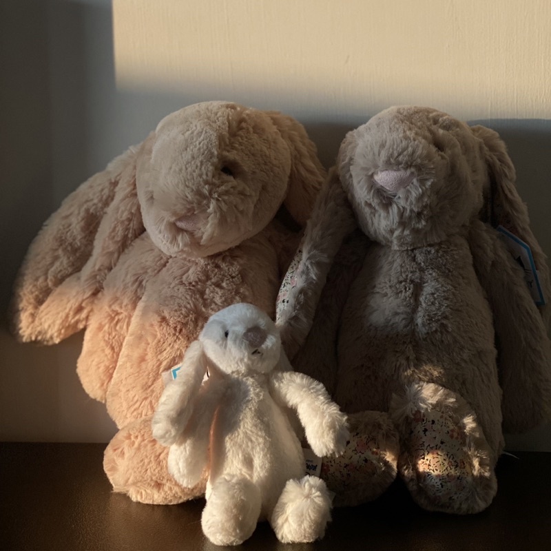 𝚖𝚘𝚘𝚗𝚕𝚒𝚝🇬🇧｜現貨區🐰 英國正版Jellycat經典兔兔娃娃 18cm/31cm
