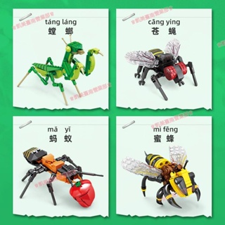 臺南凱美免運🌱兼容樂高昆蟲積木系列蜻蜓螳螂模型益智拼裝玩具兒童生日禮物6+