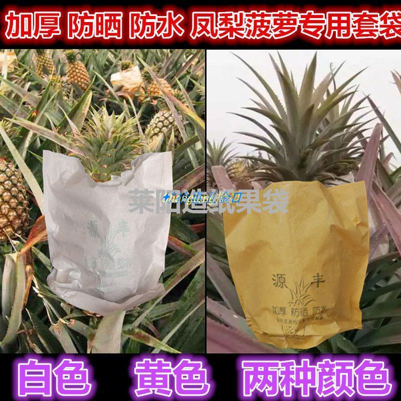 👏拾惠五金👍加厚防曬鳳梨套袋專用袋黃梨紙袋無眼菠蘿菠蘿果袋旺梨水果保護袋