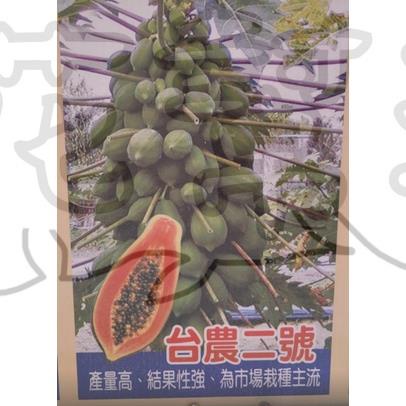 花幫派_水果苗—台農二號木瓜(苗)--果實適中且果型美觀~常見的品種/3.5吋