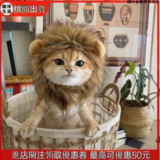 🤝台灣發貨 網紅貓咪獅子大頭套搞笑造型 寵物狗狗可愛頭套帽子輕薄裝飾品