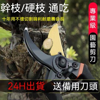臺灣24H出貨 SK5園藝剪刀 園林剪 10寸 修枝剪 果樹剪 高枝剪 粗枝剪 花枝剪 粗枝剪 樹枝剪 強力園林修枝剪