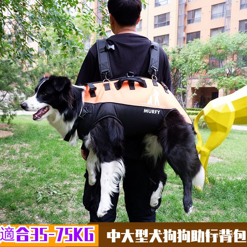 【特價】新款雙肩背帶大型犬背包便攜式戶外助行寵物寵物外出包自背包大狗 SRWG