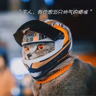 臺灣熱賣 寵物頭盔抖音衕款貓咪狗狗帽子機車摩託迷你公仔玩偶小熊頭套模型 寵物用品 寵物頭飾 貓咪狗狗帽子