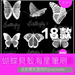 【精品素材】Procreate筆刷夏季手繪夢幻蝴蝶貝殼海星帆船螃蟹雪糕貼圖iPad畫