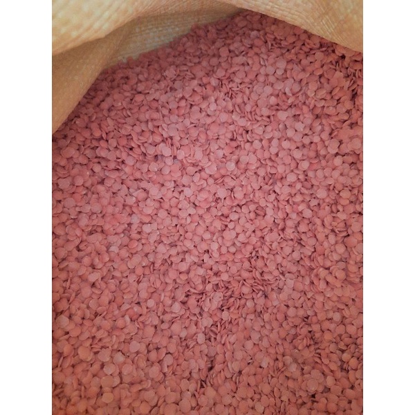 紅扁豆/RED LENTILS/600g/一斤