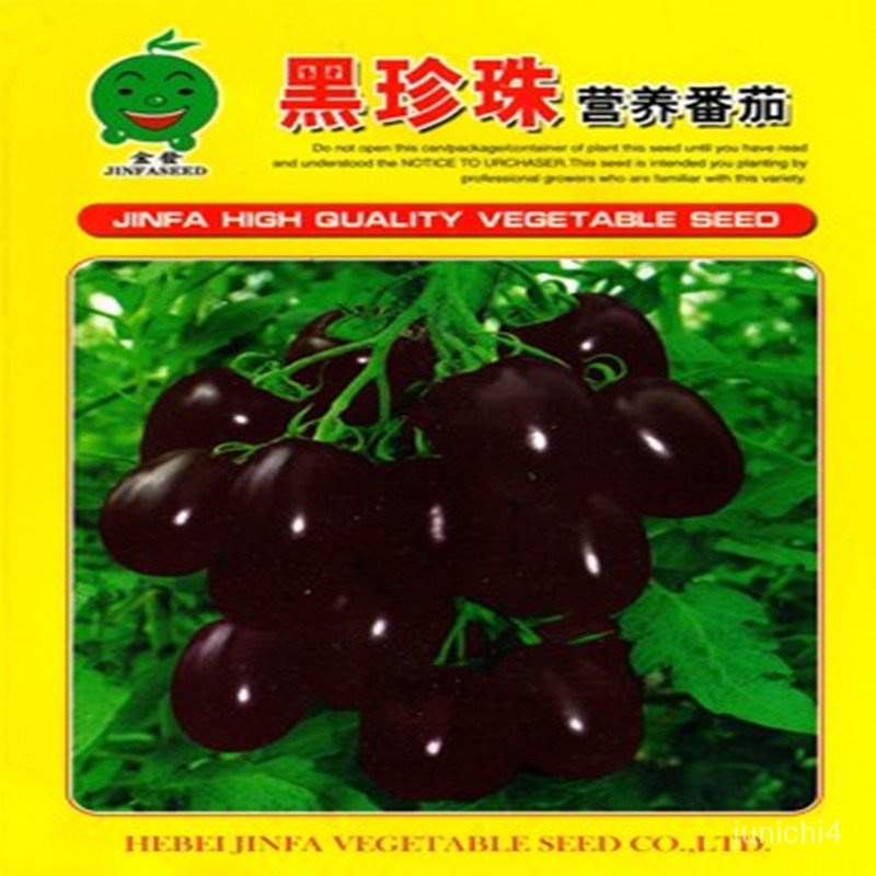 30種西紅柿蔬菜種子大包裝聖女果黑珍珠小番茄100粒陽臺菜園【惠農園藝】