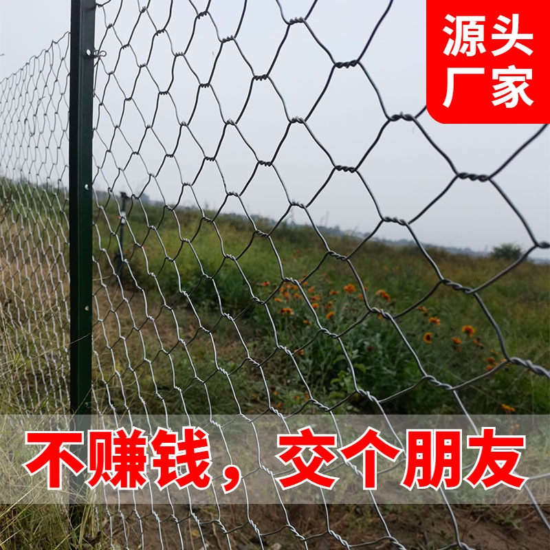 【台灣熱銷】鍍鋅鐵絲網圍欄護欄網養殖圈牛羊豬防護網鋼絲網隔離網裝飾六角網 JSA